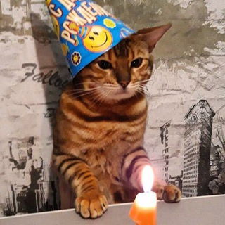 Логотип @shizapahi - Шизапахи