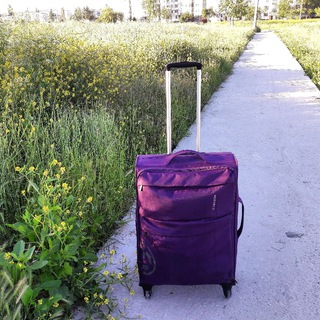 Логотип @shkafknig - Дом, метро и книжный шкаф