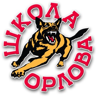 Логотип @shkolaorlovanews - «Школа Орлова»: воспитание собак