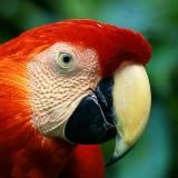 Логотип @shkurocash - Слив пизда вирт киска🔞🔥