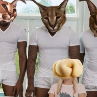 Логотип @shlepa322 - Шлёпа