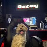 Логотип @shmoneydaily - шмани дейле