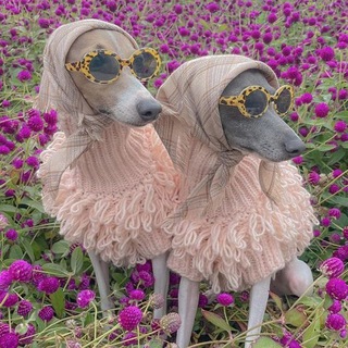 Логотип @shmotkikroshki - шмотки от крошек для крошек