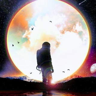 Логотип @shobybot - ShobyBot