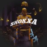 Логотип @shokxa_group - SHOKXA group