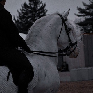 Логотип @shopbywhi - ♡Ꮇᴀᴦᴀɜин ᴨᴏ "Ꮃild Ꮋᴏrsᴇ Ꮖslᴀnds"♡