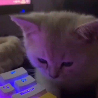 Логотип @shopk0tteg - JustinyShop