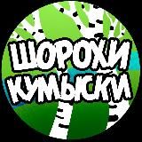 Шорохи Кумыски