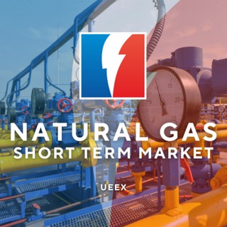 Логотип @short_term_natural_gas_market - УЕБ - Короткостроковий ринок природного газу