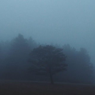 Логотип @shotbysmart - Время поснимать