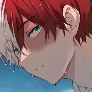 Логотип @shototodorokkiiver2 - shoto todoroki