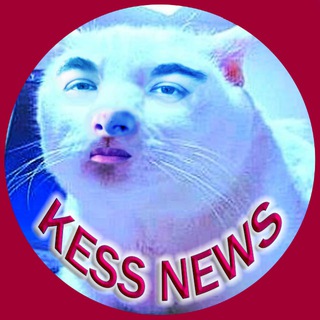 Логотип @showbizkess - FAKEKESS