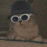 Логотип @showmax_saa - showmax_saa