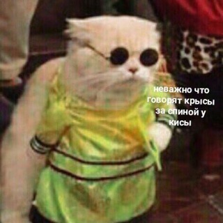 Логотип @shpagina_ana - Anastasiya Shpagina