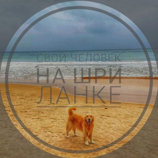 Логотип @shrilanka_guide - Шри Ланка Хиккадува Гайд Что/Где/Когда/Почём