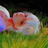 彡 креветочный мир¡