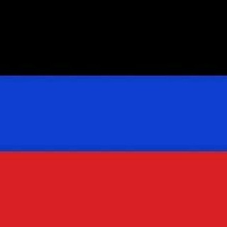 Логотип @shtabdnr - ДНР: Штаб по предупреждению коронавируса