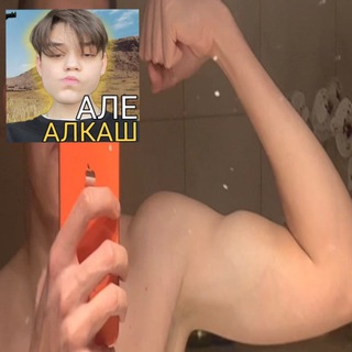 Логотип @shtormpubgm - Власть SOLO