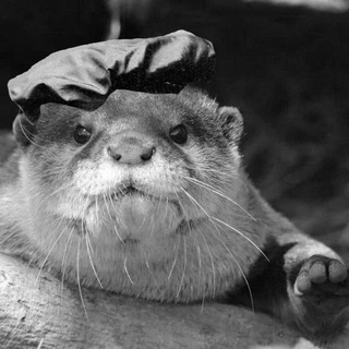 Логотип @shtroshererad - ШТРОШЕРЕР В АДУ (ЛЕНТА СОБЫТИЙ)