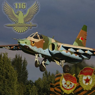 Логотип @shturmovik116 - Штурмовик