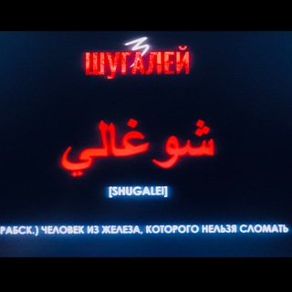 Логотип @shugaleispb - Петербургский Шугалей