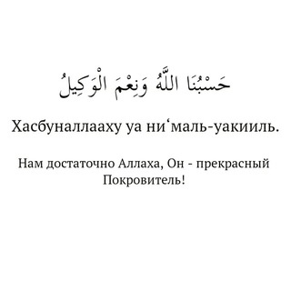 Логотип @shukronaamor - Amor🩶