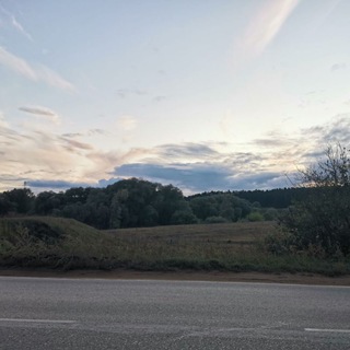 Логотип @shum_dney - Современное