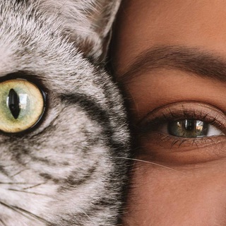 Логотип @shumilova_omg - Боже, храни Шумилову