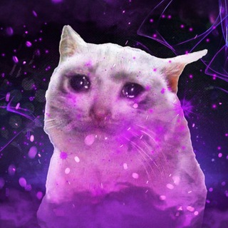 Логотип @shutca4hc - Shutca4hc