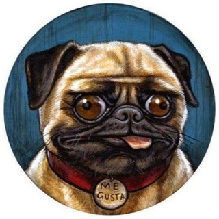 Логотип @shutkonosiya - Шутконосия