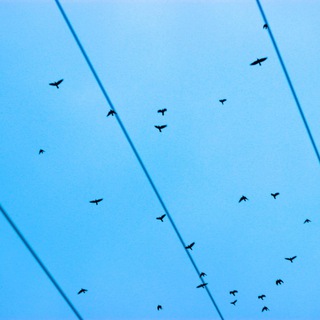 Логотип @shuum3e - Шум триває ✙ #УкрТг