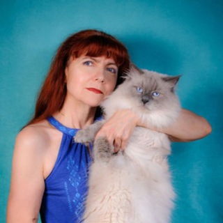 Логотип @siber_thai_cat - Siberian_thai_cat