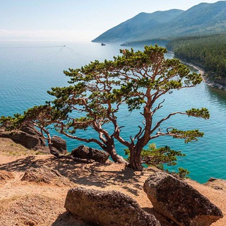 Логотип @siberia_life38 - Cибирь life