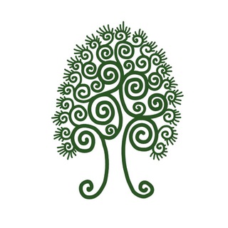 Логотип @siberian_cedar - Сибирский кедр🌲