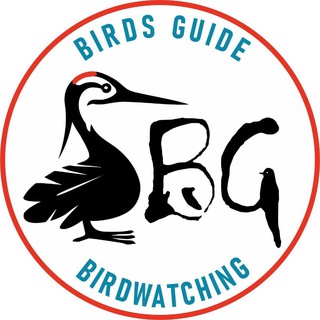Логотип @siberianbirds - Birds Guide
