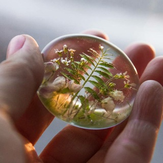 Логотип @sibjewelry - Украшения с цветами из Сибири 🌲