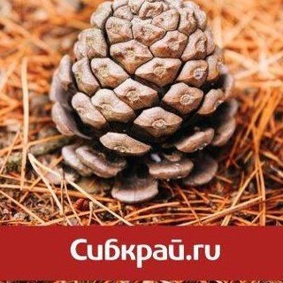 Логотип @sibkrayru - СИБКРАЙ