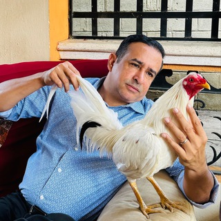 Логотип @sicariosblancos - Sicarios Blancos