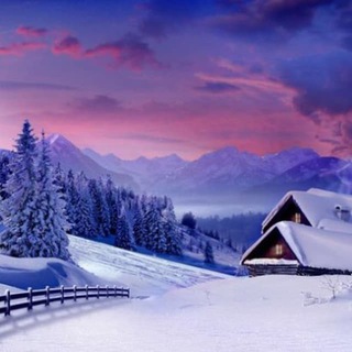 Логотип @sidpolit - Сибиряк