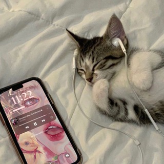 Логотип @siilmill - Идеальный ракурс ♡