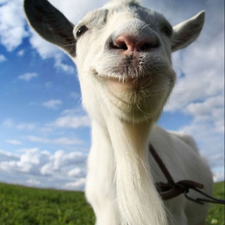 Логотип @sikozl - Скачать Симулятор Козла взлом