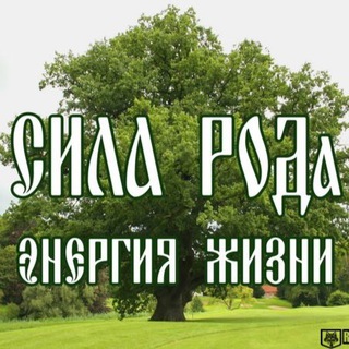 Логотип @silaroda - ⚡️Сила РОДа🌳Энергия Жизни🍀