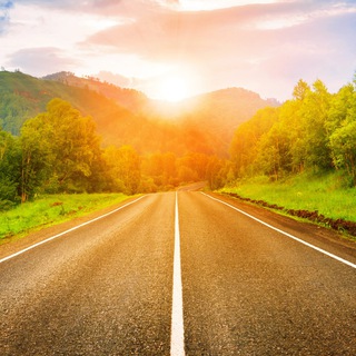 Логотип @silazamlm - SilazaMLM