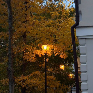 Логотип @silenceimash - Silence