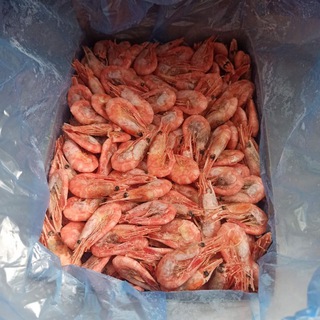 Логотип @simarglfish - СИМАРГЛ 🐟 ФИШ. Рыба и морепродукты 🐙