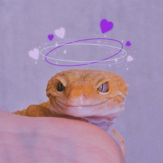 Логотип @simbych - 🦎Дневник эублефара🦎