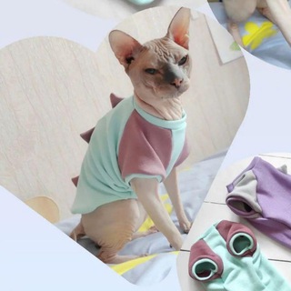 Логотип @simon_cat_clothes - Одежда для лысиков🐱