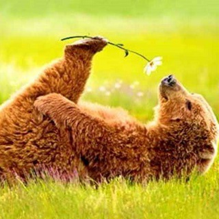 Логотип @simplepleasure_club - Простые Удовольствия