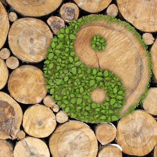 Логотип @simply_and_easily - Раскрой свой потенциал