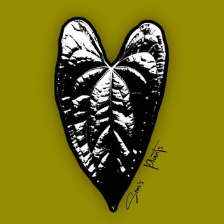 Логотип @simsplants - Sim’s Plants